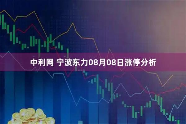 中利网 宁波东力08月08日涨停分析
